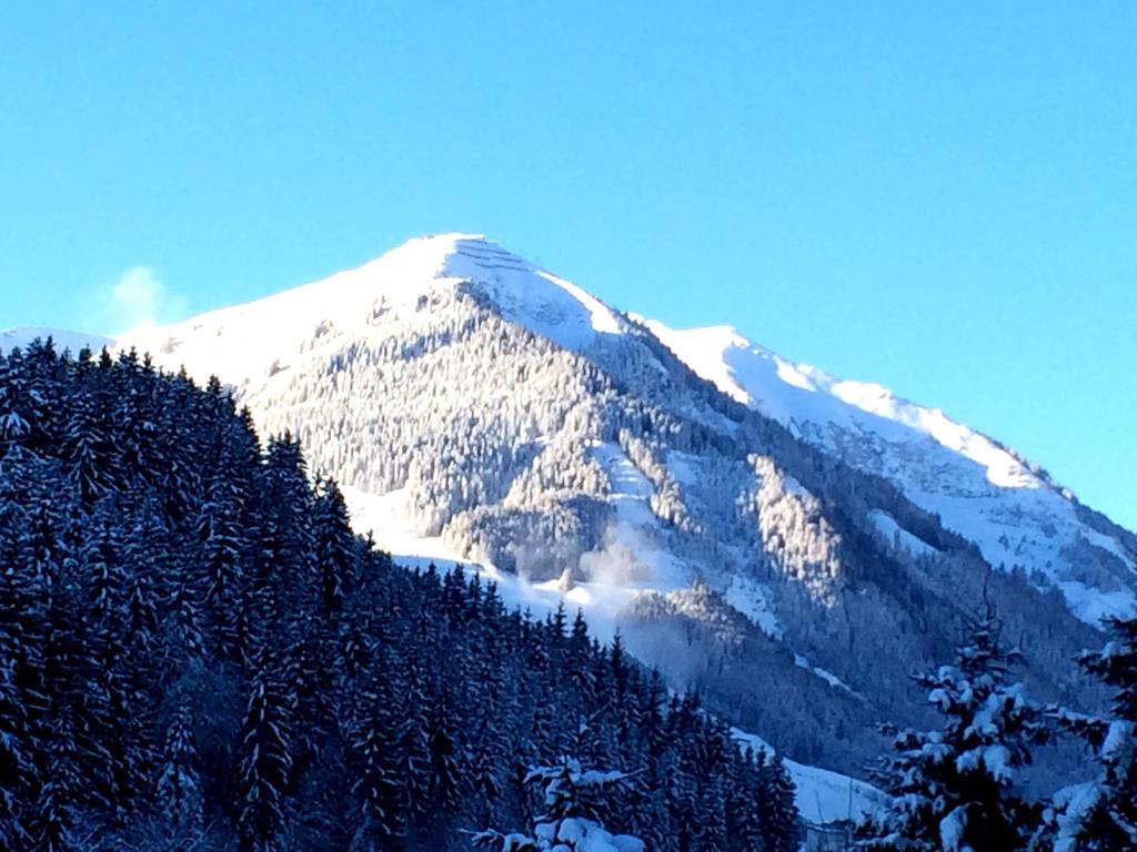 Panorama Landhaus - Joker Card Included In Summer Saalbach-Hinterglemm Exterior photo